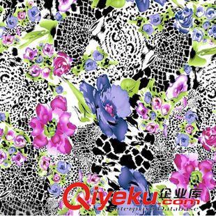 布匹印花 廠家直供 牛津布數(shù)碼印花 牛津布熱轉(zhuǎn)印 牛津布印花批發(fā)原始圖片3