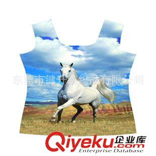 裁片印花 專業(yè)提供 裁片數(shù)碼熱轉(zhuǎn)印 裁片數(shù)碼印花加工 裁片細(xì)膩印花加工原始圖片2