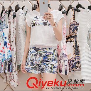 套裝 2015夏裝女新款短袖時尚休閑兩件套氣質(zhì)名媛雪紡印花短褲套裝潮原始圖片2