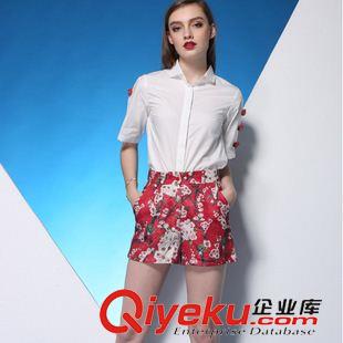 套裝 歐洲站套裝2015春夏新款娃娃領(lǐng)蕾絲襯衫上衣+印花半身裙休閑套裝