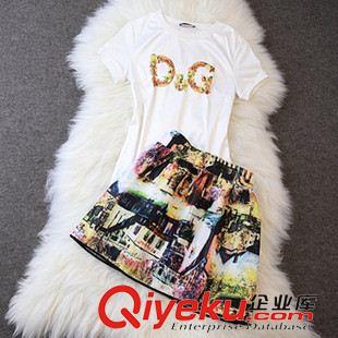 時尚歐美風(fēng) 2015歐美夏裝女裝新款 DGT恤印花上衣+花色短裙休閑短袖套裝女原始圖片3