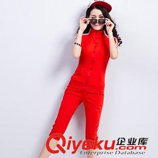 淘寶爆款 2015新款時(shí)尚衛(wèi)衣女兩件套簡約運(yùn)動(dòng)衣休閑短袖套裝女免費(fèi)一件代發(fā)原始圖片2