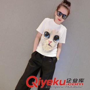 3月第三期 2015新款大碼女裝 夏季寬松女士短袖短褲休閑服套裝女式套裝批發(fā)