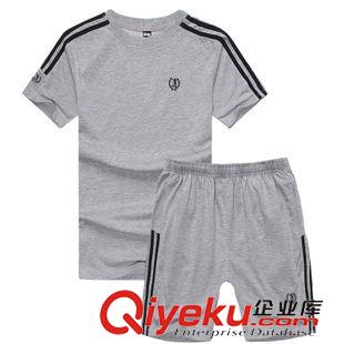 艾迪 2015新款夏天运动套装男士夏季短袖 男士套装运动服套装