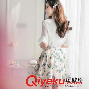 連衣裙 2015春裝新款女裝韓版兩件套印花雪紡連衣裙 半裙加上衣原始圖片3