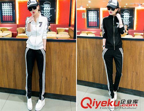 兩件套裝 977#運動套裝休閑春秋立領(lǐng)運動服長袖衛(wèi)衣女裝大碼時尚開衫運動裝原始圖片2