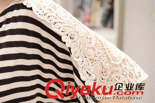 孕婦裝 實(shí)拍條紋T恤拼蕾絲花邊 T字型孕婦裝 胖mm裝 韓版大碼裝原始圖片3