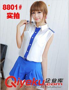短袖   無袖 連衣裙 實拍8356#歐洲站2014夏裝新款歐根紗刺繡 雪紡拼接A字短袖連衣裙