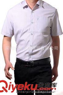 男式襯衫定做 供應(yīng)商務(wù)襯衫男 純色短袖男式襯衣 定做工作襯衫原始圖片3