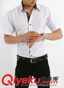 男式襯衫定做 供應(yīng)男式白色襯衫 全棉短袖襯衣襯衫定做 男式工作襯衫原始圖片2