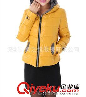 女款棉衣 羽絨服訂做 供應(yīng)2013冬季新款女式棉衣 定做爆款棉衣 修身女士棉服訂做