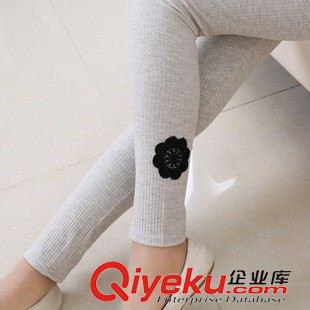 孕婦褲 8081#實(shí)拍孕婦裝打底褲原始圖片2