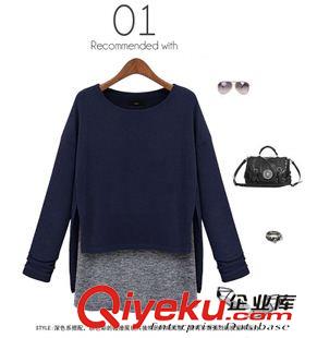 秋款襯衫/打底衫 歐洲站 新款秋裝圓領(lǐng)t恤女長袖寬松假兩件不規(guī)則大碼長款原始圖片2