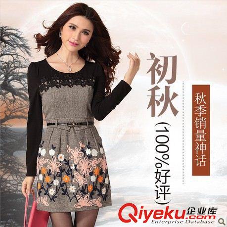 春夏款連衣裙 6609高品質(zhì)2014春款新款圓領(lǐng)蕾絲繡花長(zhǎng)袖修身連衣裙打底裙配腰帶原始圖片2