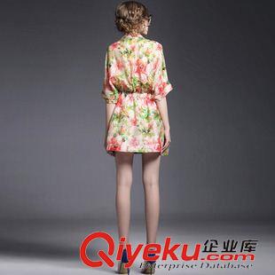 六月下旬新款 2015歐洲站夏裝新款氣質(zhì)蝙蝠袖真絲印花連衣裙歐美高端精品女裙原始圖片2