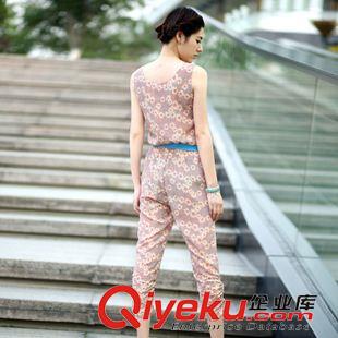 五月下旬新款 2015新款韓版女裝氣質(zhì)顯瘦連體褲碎花雪紡夏女款連體褲 批發(fā)原始圖片3