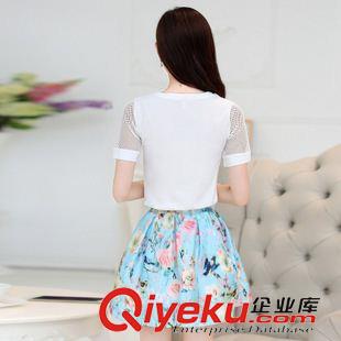 歐洲站時尚套裙 2015韓夏季新款女裝鏤空短袖圓領蓬蓬裙兩件套套裝印花連衣裙子原始圖片2