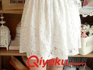 短袖連衣裙 2015新款小清新甜美蕾絲顯瘦連衣裙中袖氣質(zhì)雪紡韓版打底 批發(fā)原始圖片3
