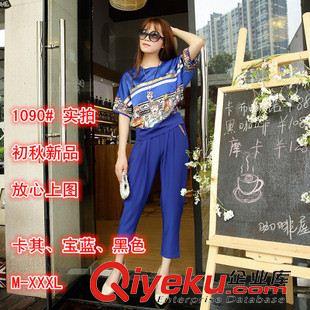 2015七月第四批新款上架 休閑套裝女秋2015早秋裝中袖時(shí)尚套裝輕薄大碼運(yùn)動(dòng)套裝女款秋季原始圖片3