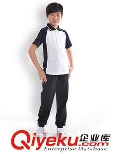 夏季 经典款夏季运动校服短袖中小学校服班服批发定制AM51