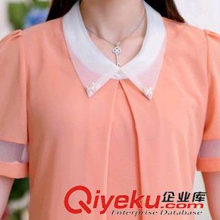雪紡衫蕾絲衫 雪紡衫 短袖 韓版夏裝女裝修身大碼品質(zhì)清涼雪紡衫上衣新款原始圖片3