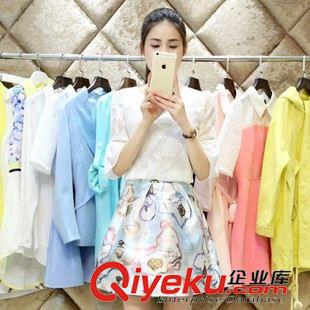 4月新款1期 2015春夏新款女裝OL印花裙修身顯瘦兩件套裝碎花雪紡連衣裙