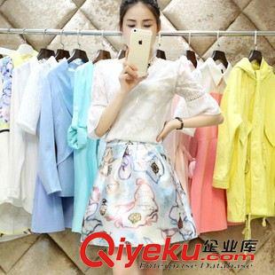 4月新款1期 2015春夏新款女裝兩件套高腰連衣裙 中袖圓領(lǐng)套裝蓬蓬a字裙女原始圖片2