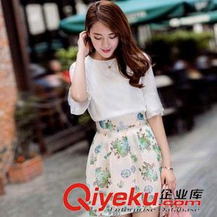 4月新款1期 2015春裝新款女裝韓版兩件套印花雪紡連衣裙 半裙加上衣原始圖片2