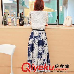裙套裝 2015新品女裝韓版兩件套蕾絲連衣裙 修身顯瘦印花時尚套裝裙女裝原始圖片3