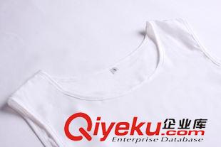 9月新品{dy}波 2015秋裝新款歐洲站圓領(lǐng)五分袖修身 連衣裙三件套裝裙女原始圖片3