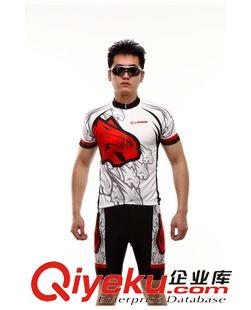 短袖套裝 蘭帕達(dá) 夏季戶外運(yùn)動(dòng)騎行短袖男士套裝 自行車裝備-捷豹原始圖片2