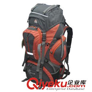 背包║馱包 Doite 6846 時尚單車包 騎行包 雙肩包 旅行包 超透氣背負25L
