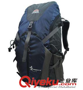 背包║馱包 Doite 6639 戶外包 雙肩背包 登山包 壁虎系列 35L 新款原始圖片2