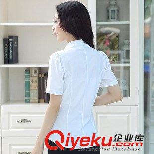 襯衣 2015時(shí)尚新款百搭女短袖職業(yè)裝夏白色襯衣女裝工裝工作服正裝爆款原始圖片3