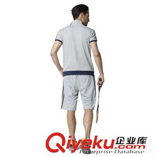 夏季運(yùn)動套裝 2015運(yùn)動套裝 短褲套裝t恤男休閑戶外運(yùn)動短袖純棉男裝短褲原始圖片2