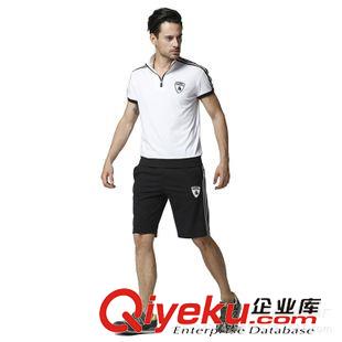 夏季運(yùn)動套裝 2015運(yùn)動套裝 短褲套裝t恤男休閑戶外運(yùn)動短袖純棉男裝短褲原始圖片3
