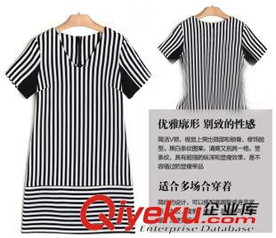 連衣裙 2014新款大碼女裝顯瘦黑白條紋短袖V領(lǐng)連衣裙原始圖片3