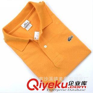 女式T恤polo 供應(yīng)定做貼牌POLO衫 全棉品牌翻領(lǐng)polo衫原始圖片3