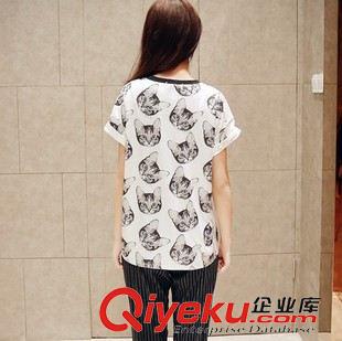 時尚T恤 夏季女裝韓版全棉T恤新款T恤女打底衫圓領(lǐng)印花修身女式短袖 全棉原始圖片3