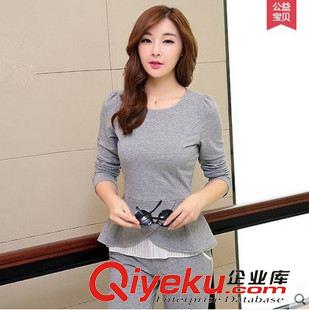 8月25新品 2015秋季新款   時尚韓版氣質女休閑運動套裝女原始圖片2