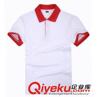 男式POLO衫 短袖廣告t恤定制 翻領(lǐng)廣告polo衫 男式t恤運(yùn)動(dòng)t恤定做批發(fā)加工原始圖片3