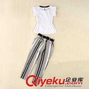四月新款一期 2015夏季新款短袖圓領時尚氣質娃娃衫上衣條紋哈倫褲休閑套裝女