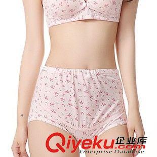 背心  裹胸 安全褲 皮帶飾品 孕婦內(nèi)衣 高腰小睡花莫代爾棉孕婦內(nèi)褲原始圖片2