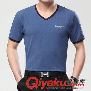 純棉T恤衫 來圖定制t恤翻領廣告衫文化衫diy班服定做長袖工作服印制