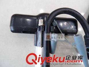 籃球網(wǎng) 框 袋 智趣打氣筒籃球足球類迷你型自行摩托車175多功能鋁合金氣筒原始圖片2
