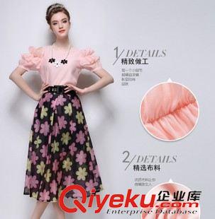 女式襯衫 2015夏季新款女裝歐美襯衣女士百搭歐根紗短袖上衣女 （送項鏈）原始圖片2