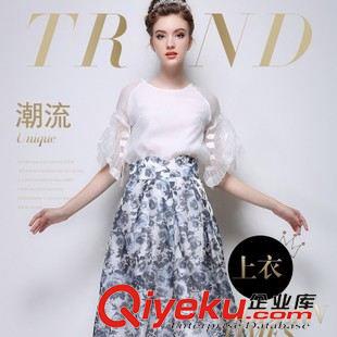 女式襯衫 2015夏季新款女裝歐美襯衣女士百搭歐根紗短袖上衣女 （送項鏈）
