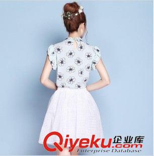 半身裙 2015新款夏季女裝韓版簡(jiǎn)約氣質(zhì)半身裙 蓬蓬裙短裙原始圖片3