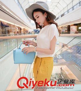 6/5上新 歐洲站夏季新款時尚大碼雪紡短袖套裝女氣質(zhì)女裝兩件套裝原始圖片3