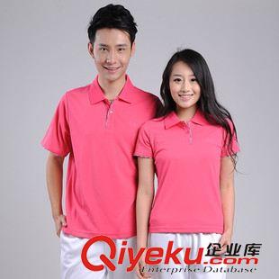 短袖套裝 2014新款夏季中老年女士休閑裝 時尚休閑大碼南韓絲翻領短袖T恤